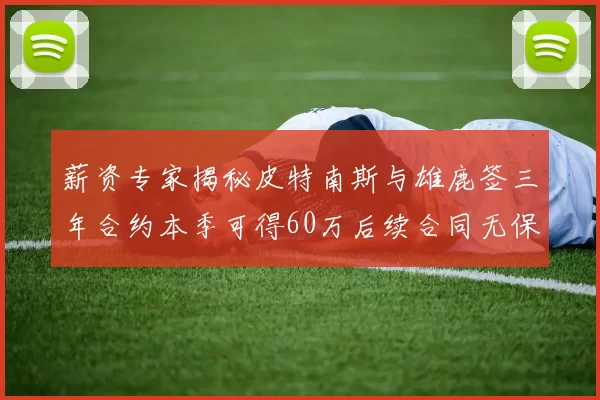 薪资专家揭秘皮特南斯与雄鹿签三年合约本季可得60万后续合同无保障
